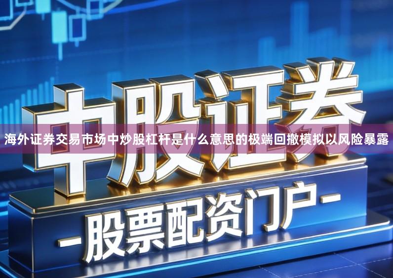 海外证券交易市场中炒股杠杆是什么意思的极端回撤模拟以风险暴露