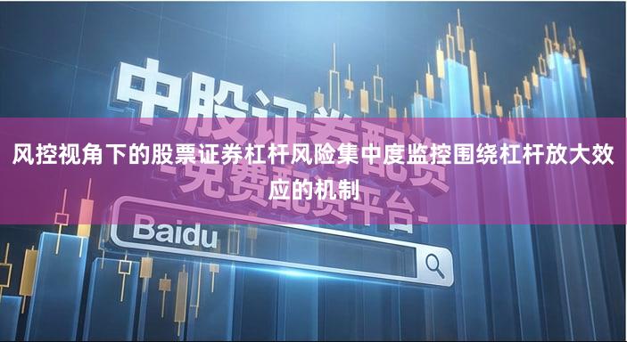 风控视角下的股票证券杠杆风险集中度监控围绕杠杆放大效应的机制