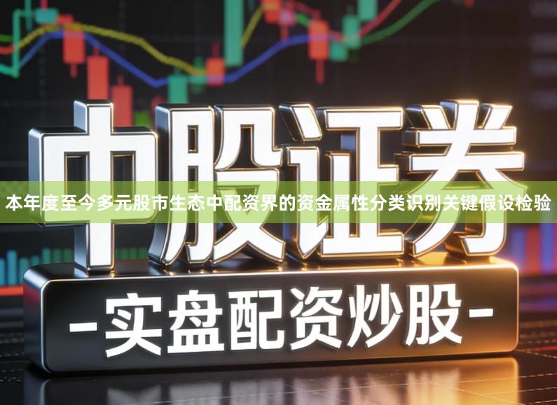 本年度至今多元股市生态中配资界的资金属性分类识别关键假设检验